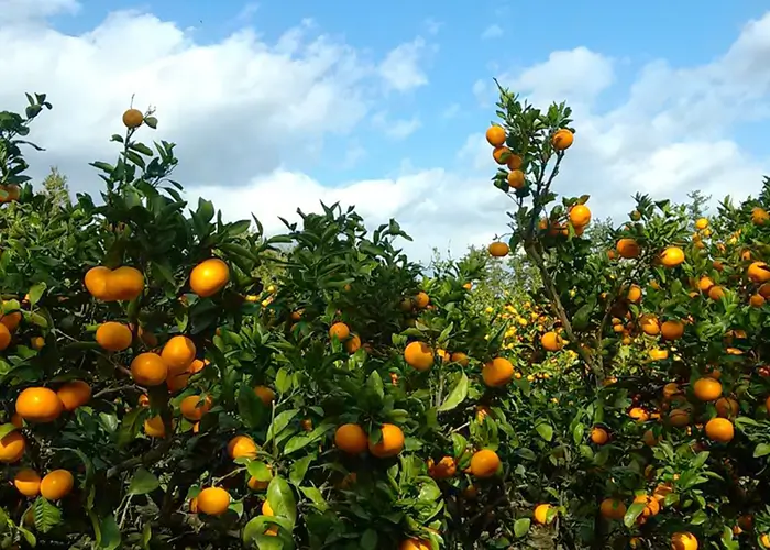 campus-center-bannerOne